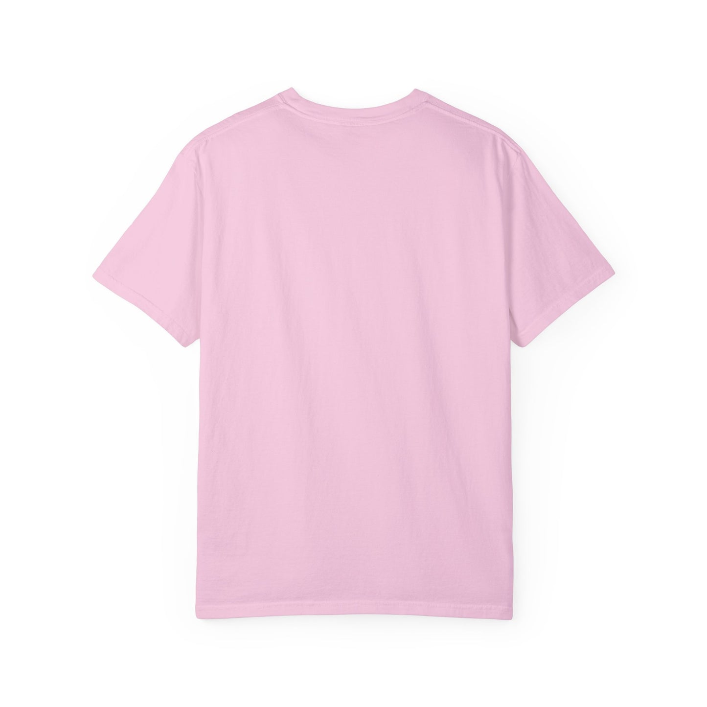 Aquarius Baby Heart Cake T-Shirt, Zodiac Tee, Birthday Gift, Comfort Colors Bow Shirt, Coquette Core, Aquarius Gift Preppy